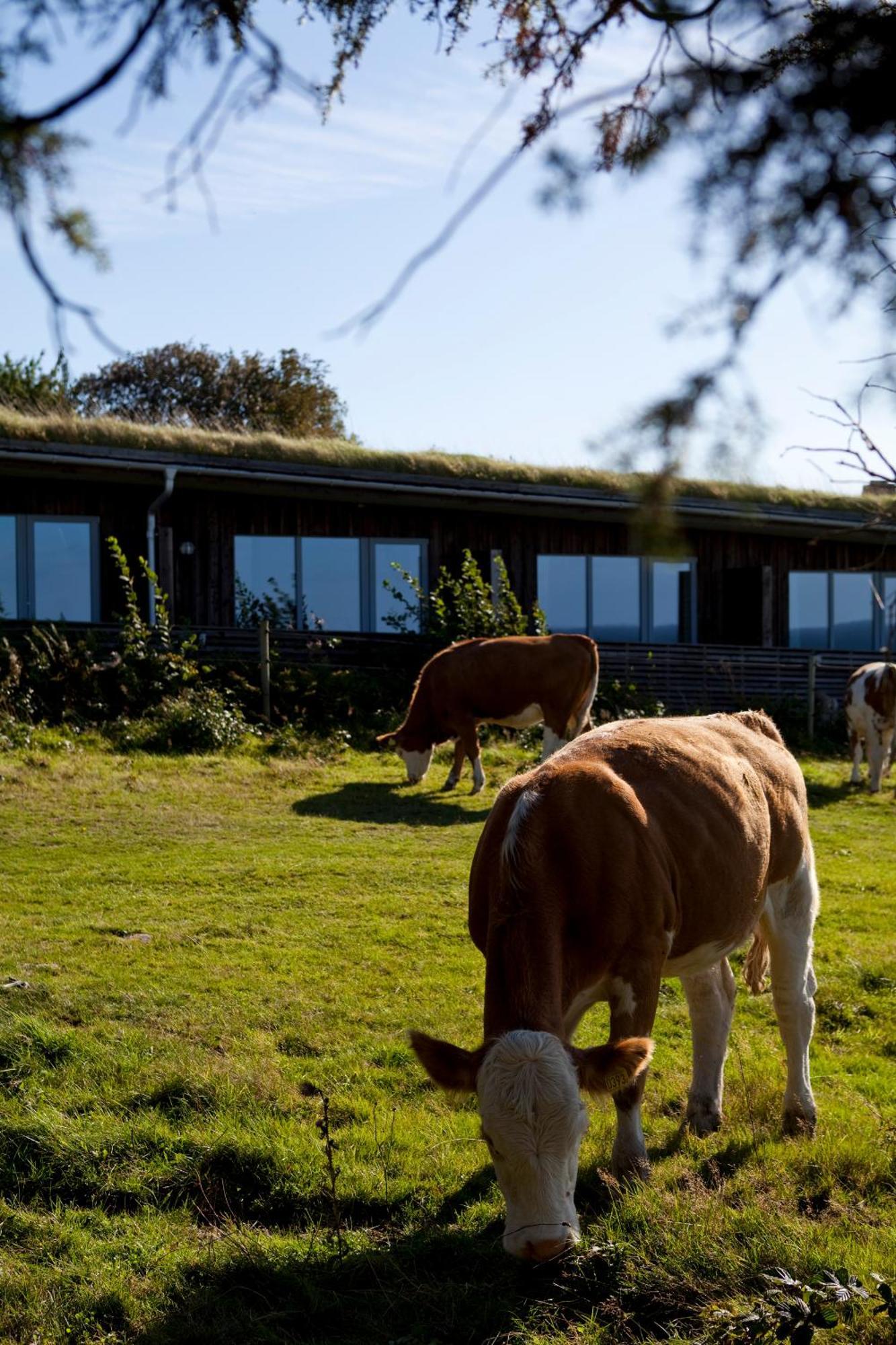 Hotell Och Restaurang Hovs Hallar Båstad Екстериор снимка